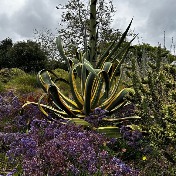 Meet your Posher, Tonya - Picture 2 of 8